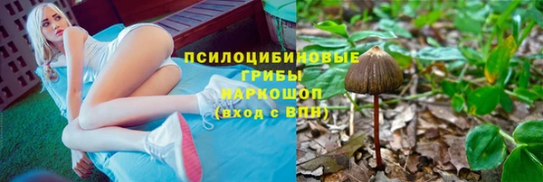 молекула духа Краснотурьинск